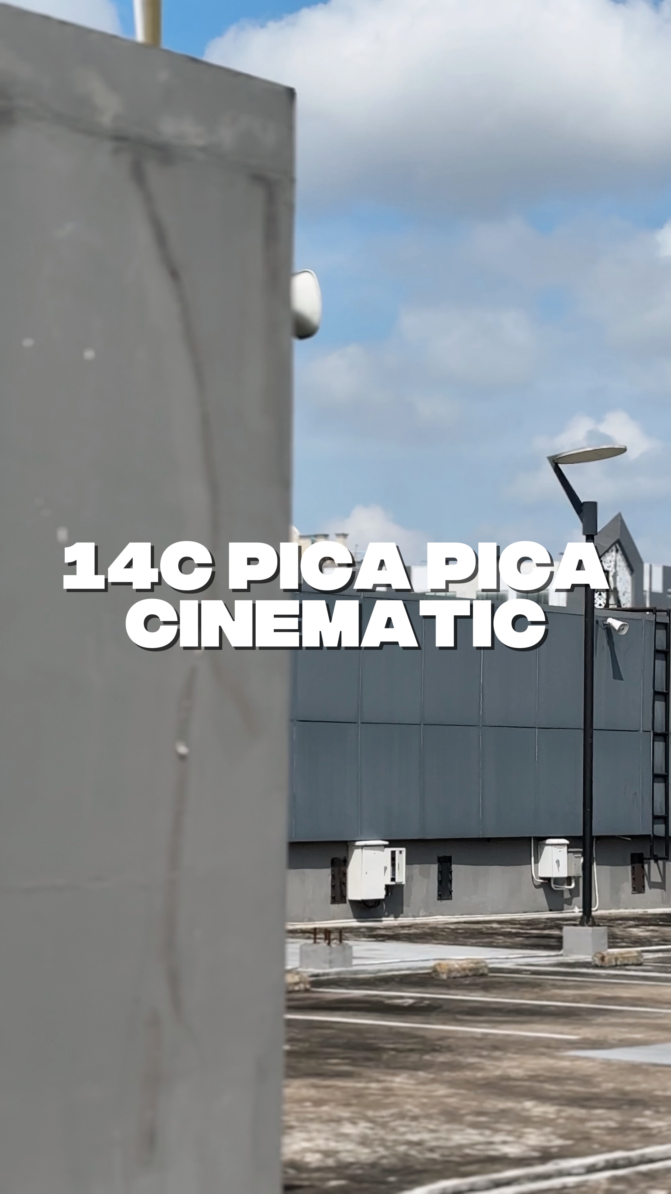 14C Pica-Pica