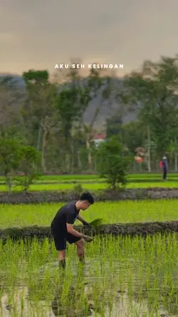 aku seh kelingan