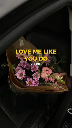 MẪU 20 PIC