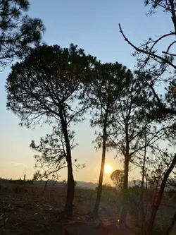 Una tarde