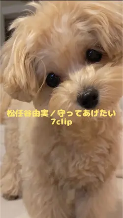 松任谷由実/守ってあげたい