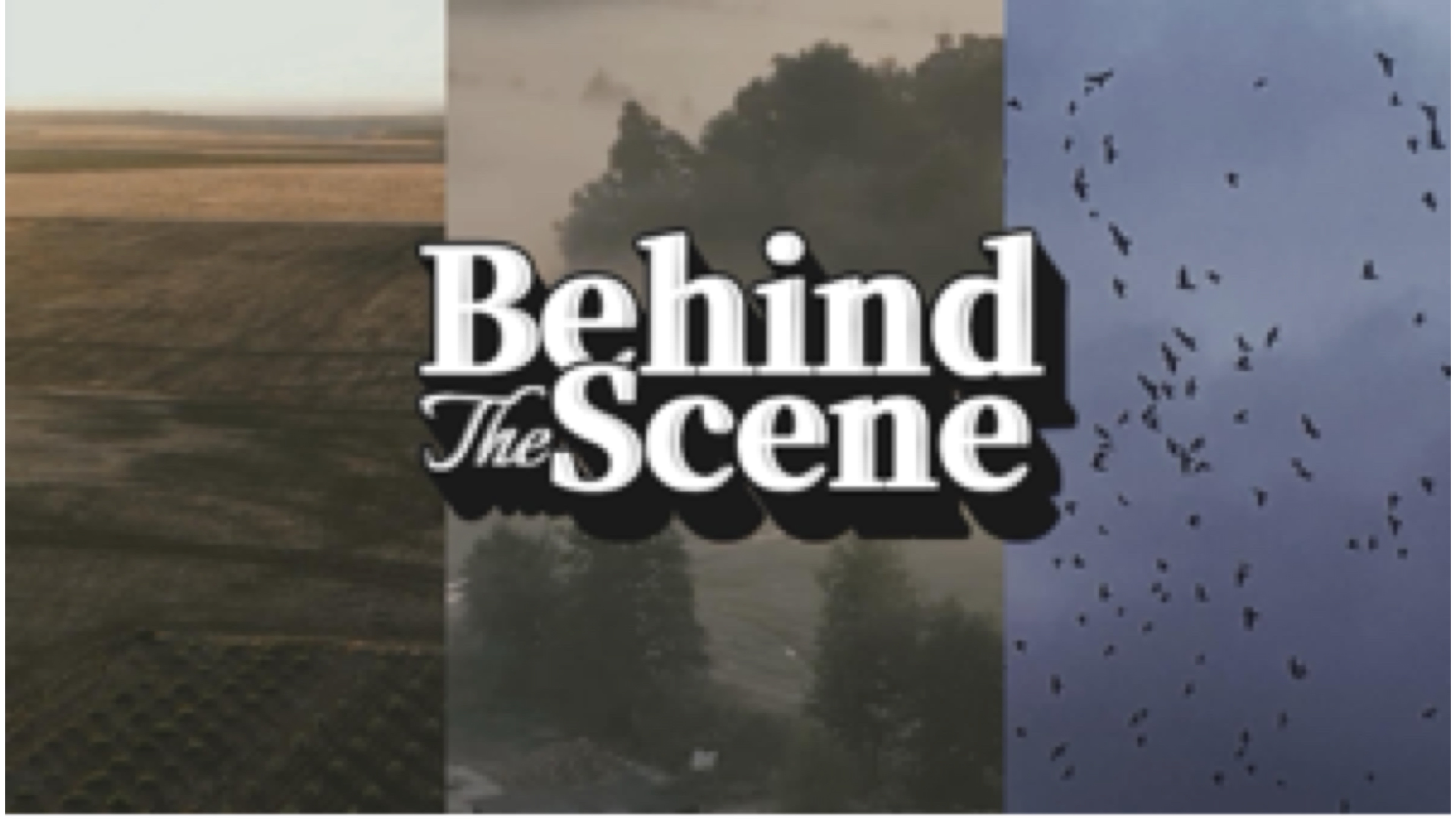 Detrás de escena🎬🛤️
