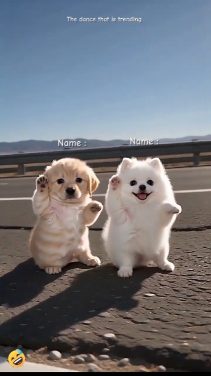 Dance Trend