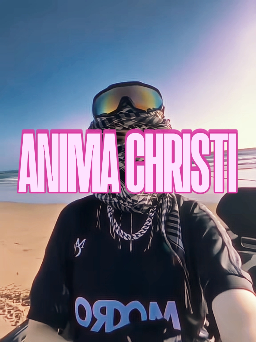 ANIMA CHRISTI