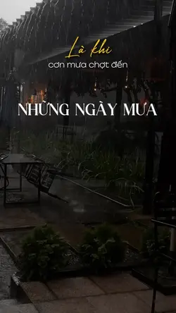 Là khi cơn mưa