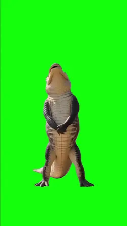 Crocodile conga