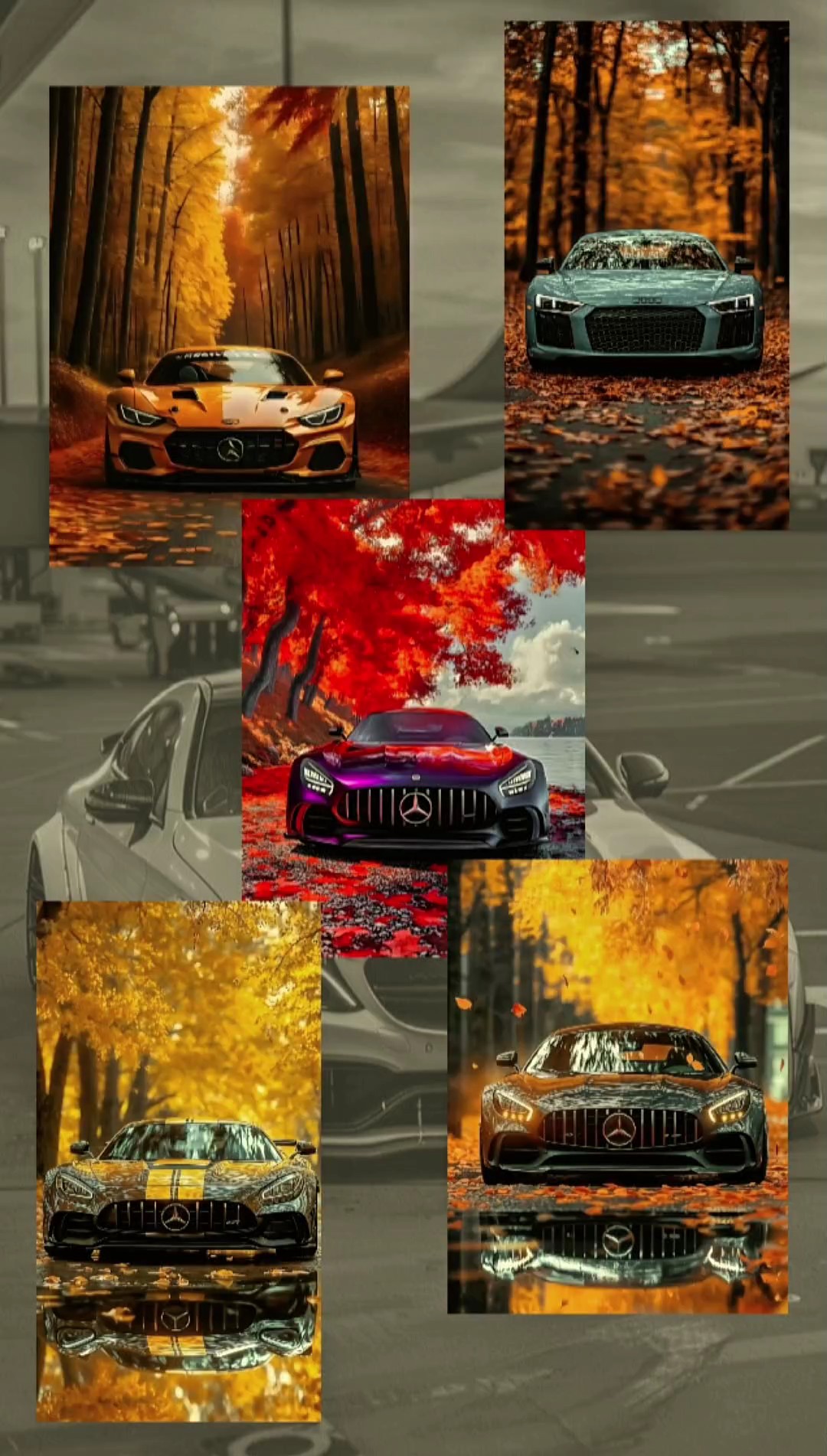 Autosammlung