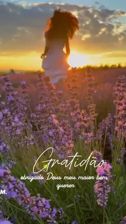 Gratidão 