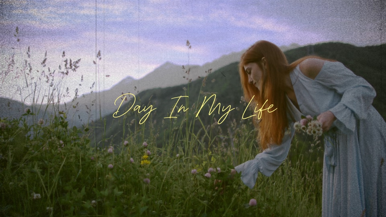 Daily Intro