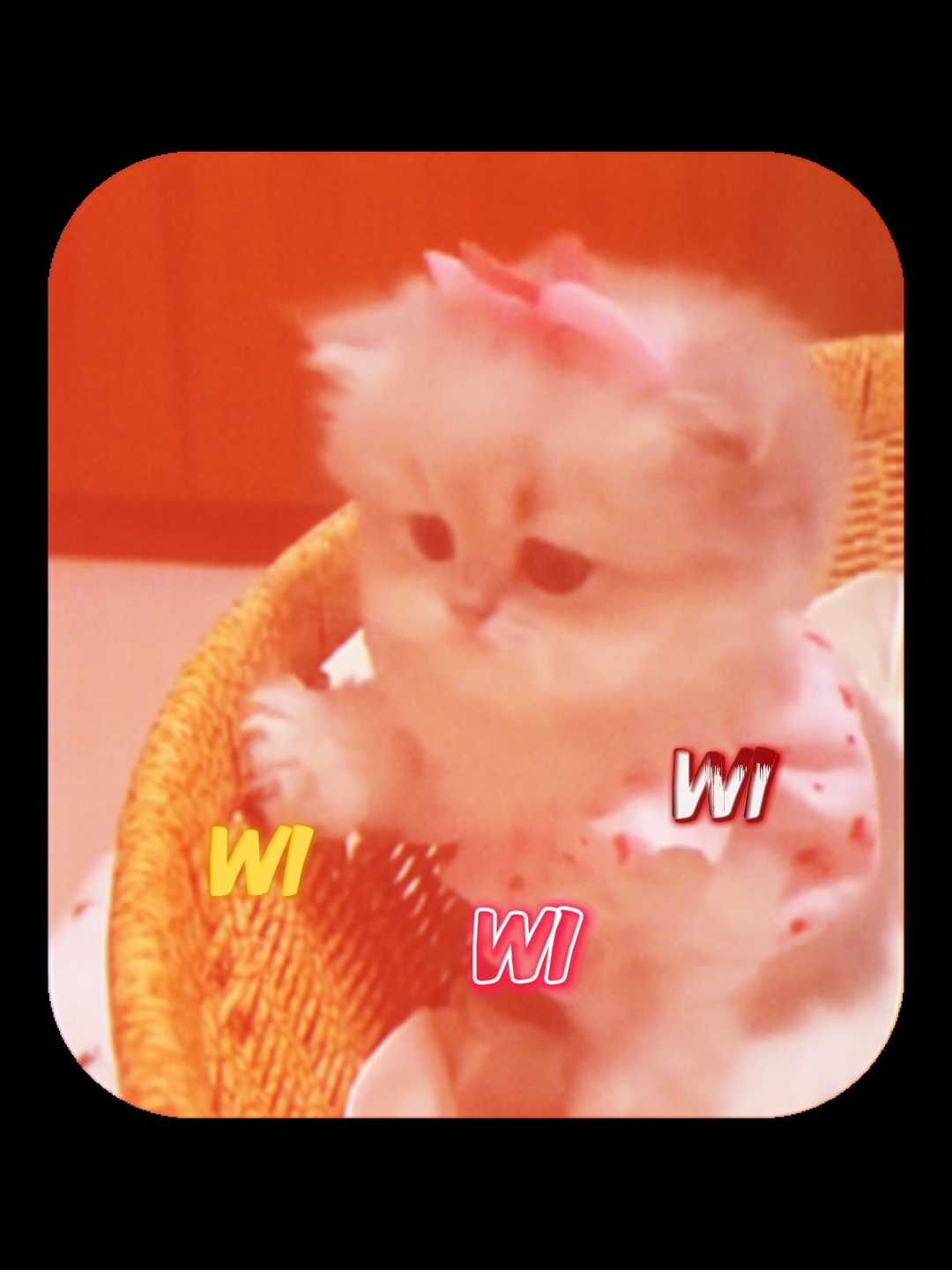 wewewi