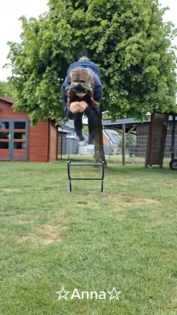 Therian slowmo