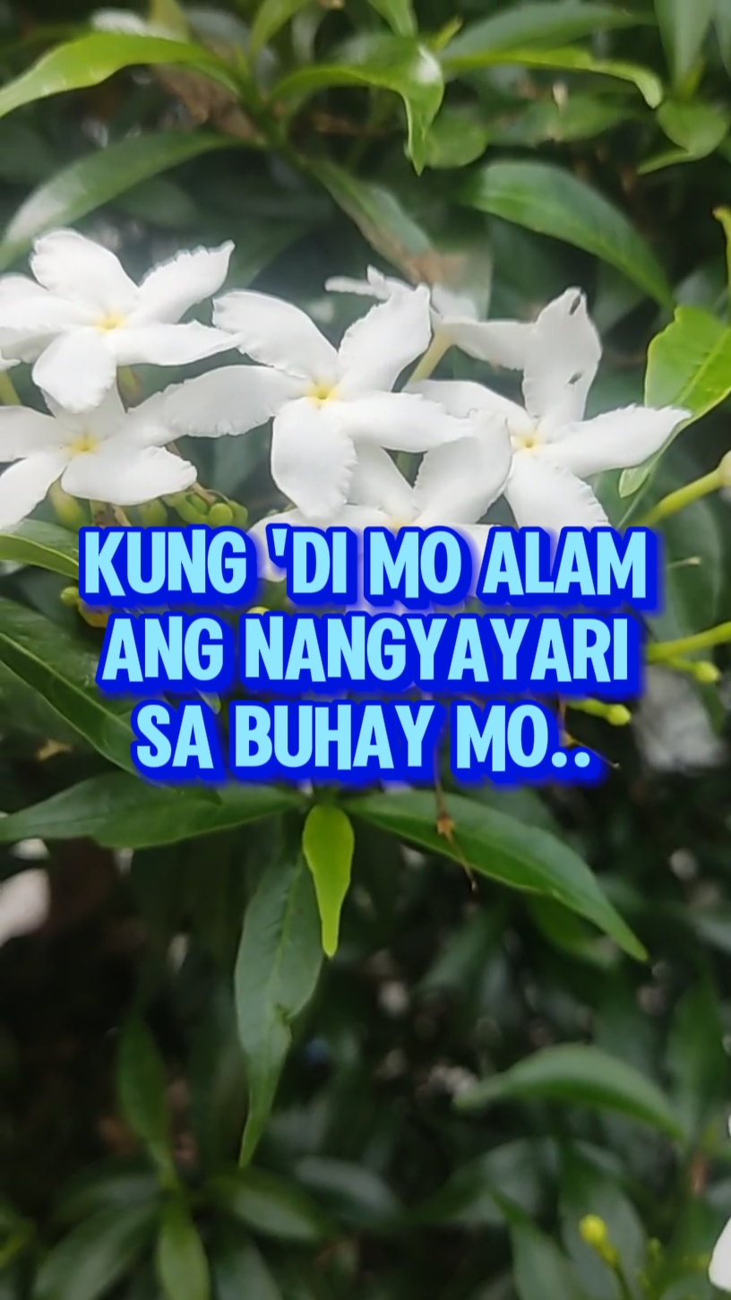 Kapitbahay