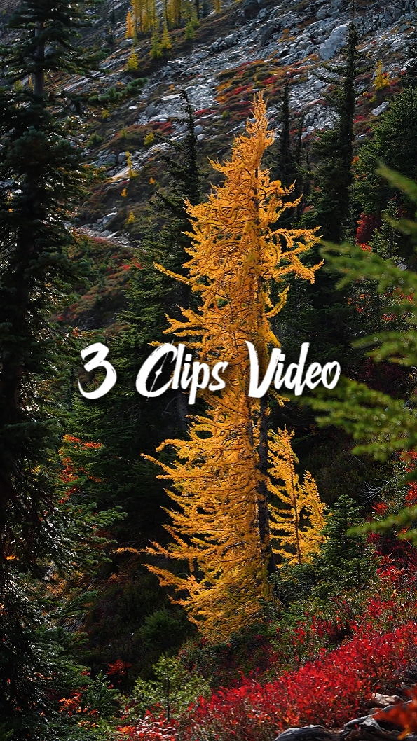 3 Clips Vidéo