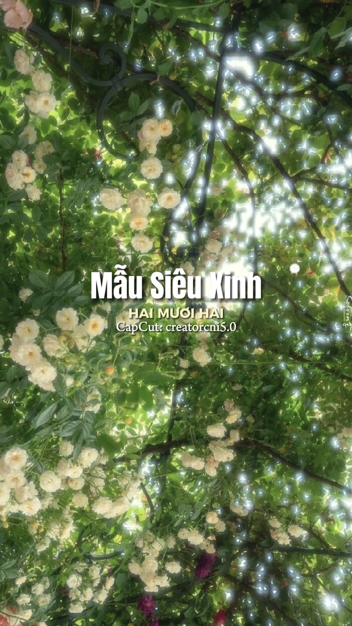 [2] Ảnh Xinh 