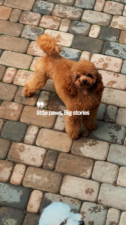 Pequeñas patas