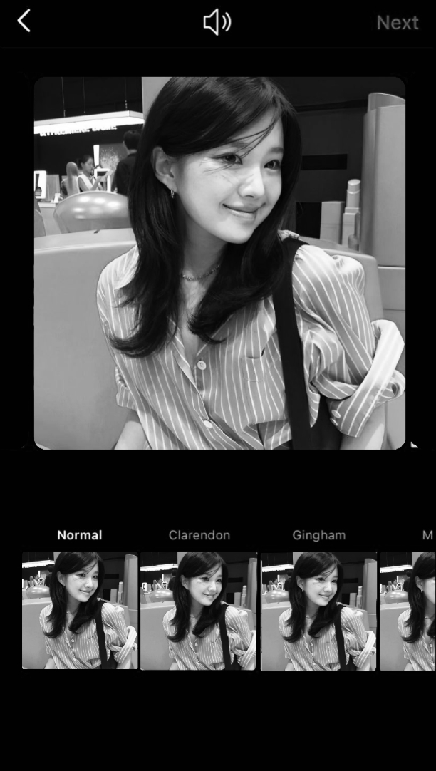monokrom filter