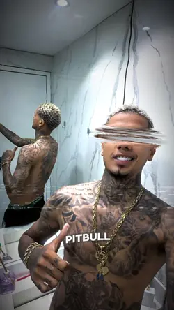 só Pitbull de raça
