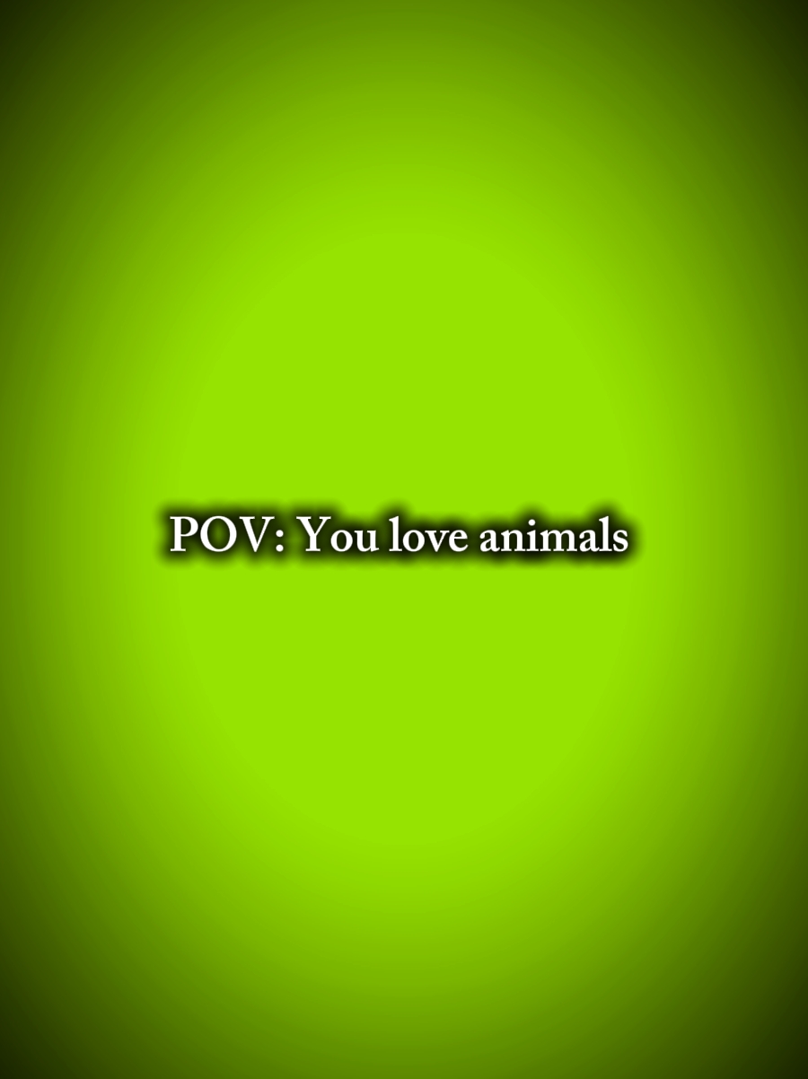 U AIME LES ANIMAUX