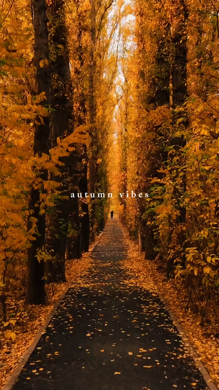 Herbst-Vibes
