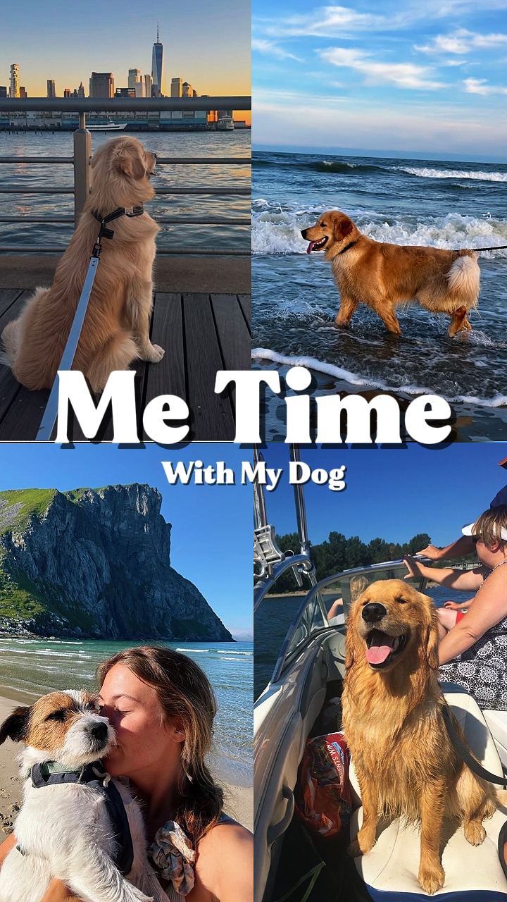 Me Time With Dog
