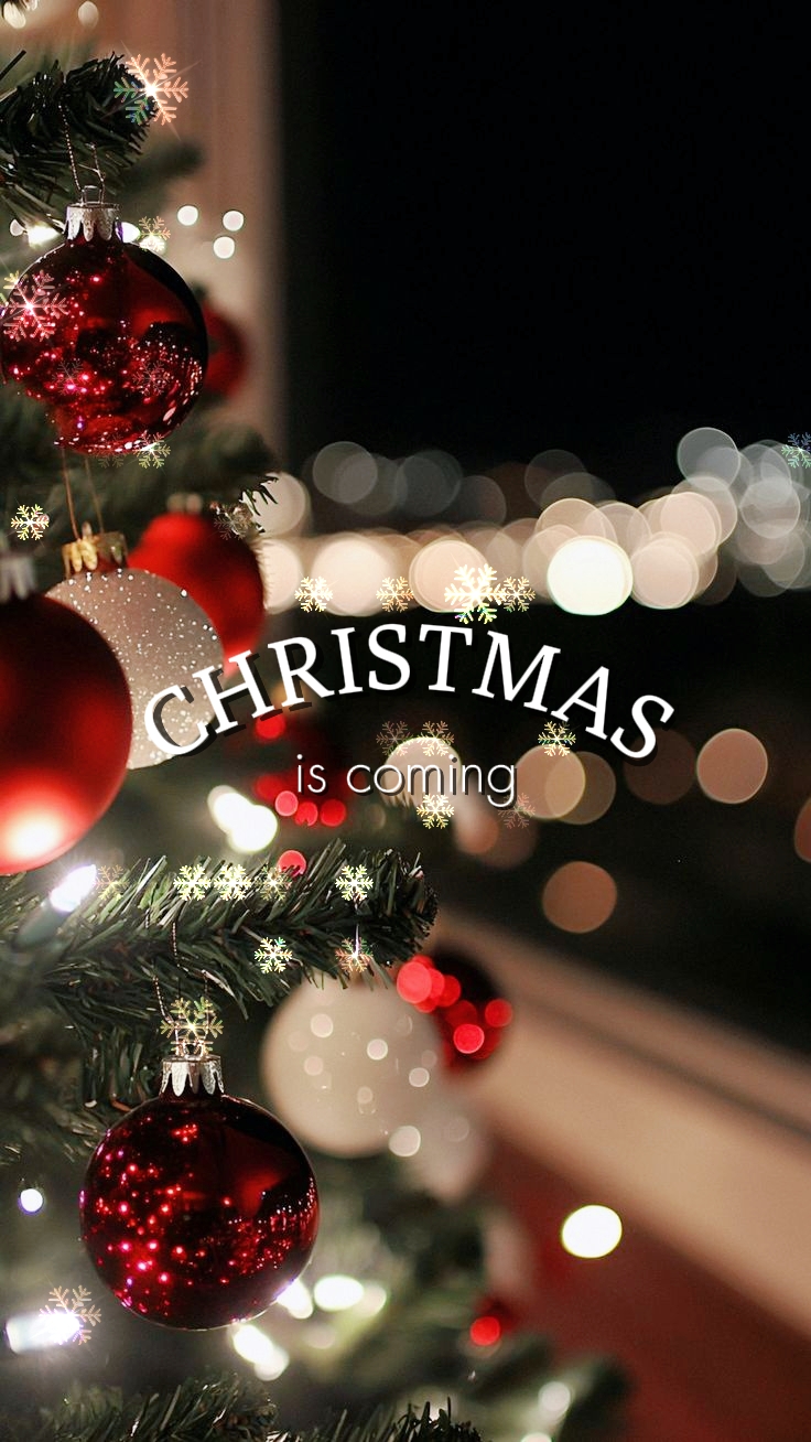 Natal akan datang