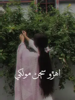sindhi songs new