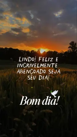 BOM DIA 