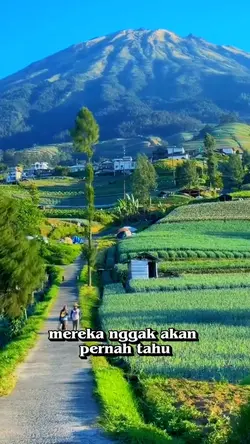 quotesstory 