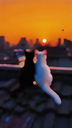 Slowmotion video 💖🫶