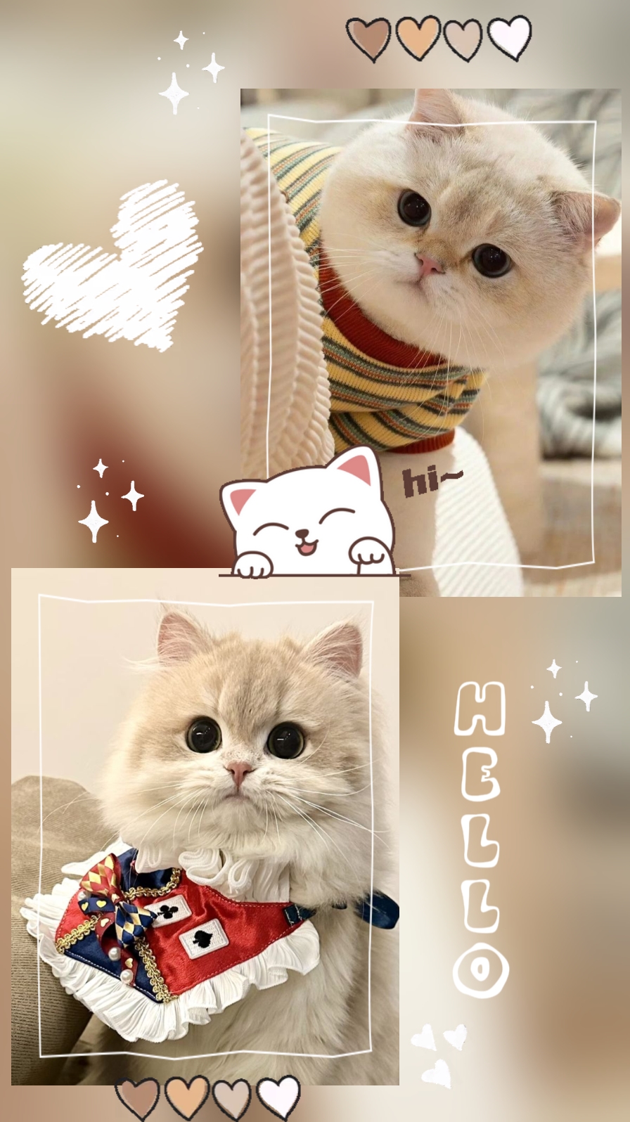캣오버
