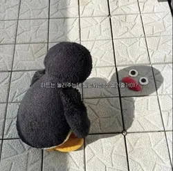 팔로워