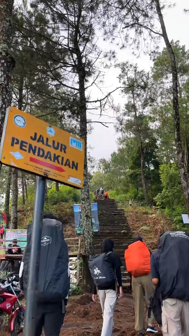 cinema gunung
