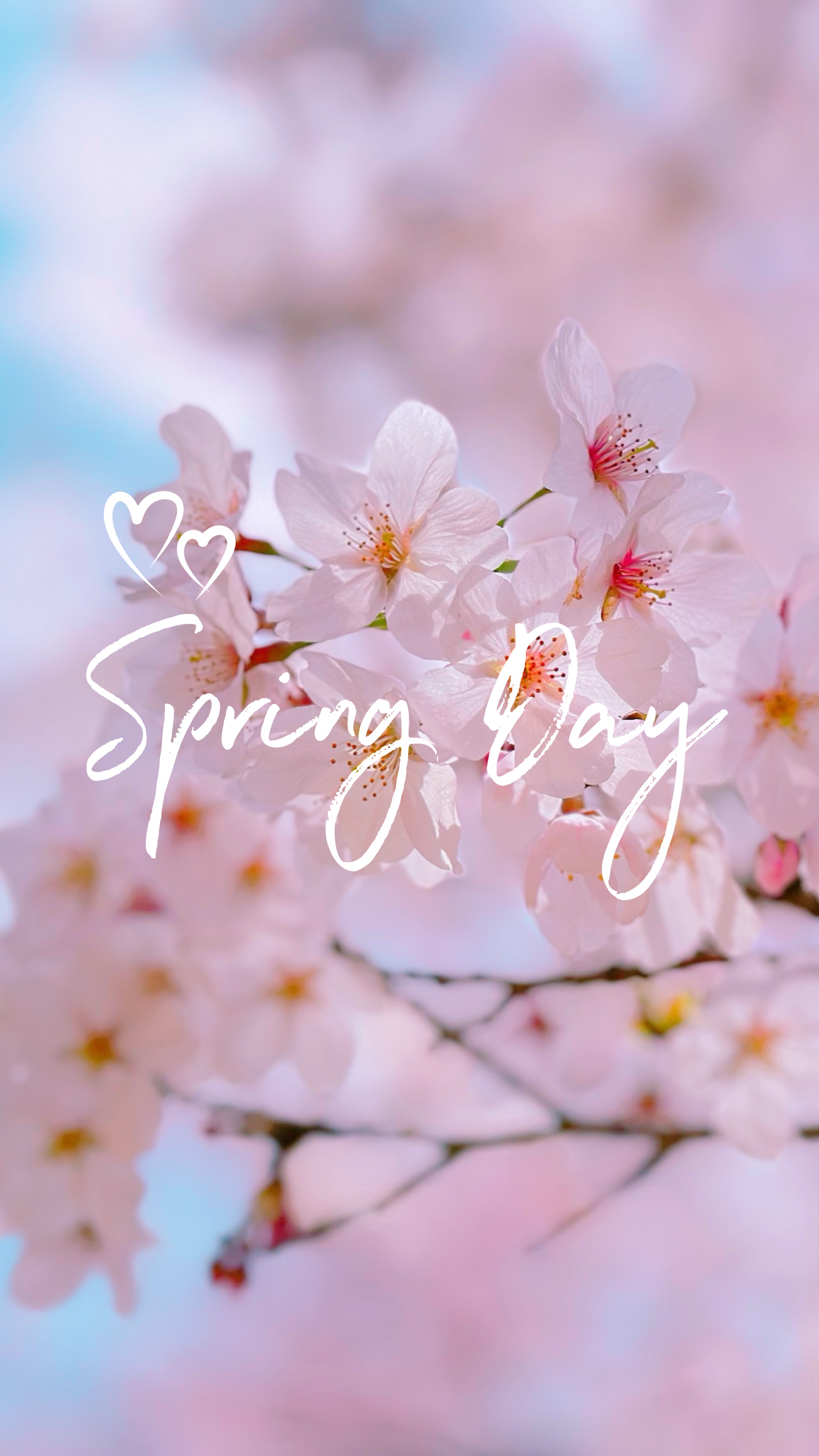Spring Vlng