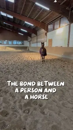 the bond