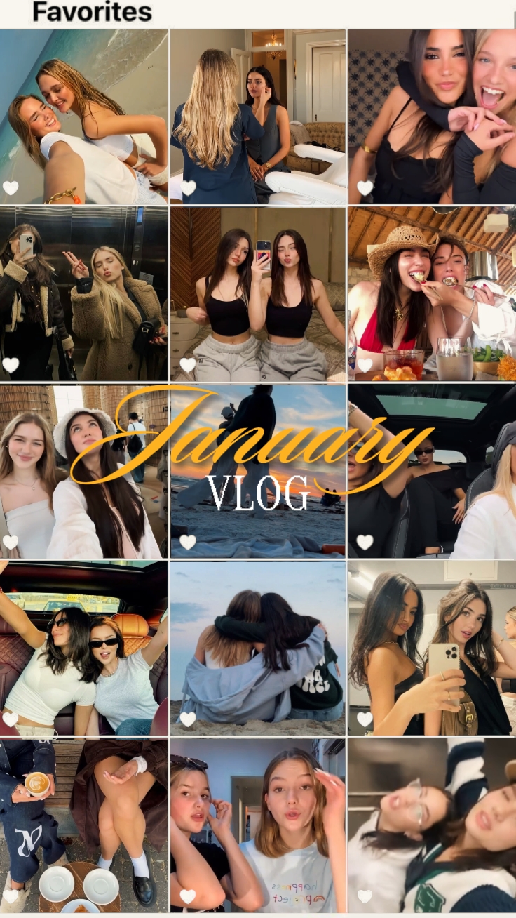 VLOG DE JANVIER