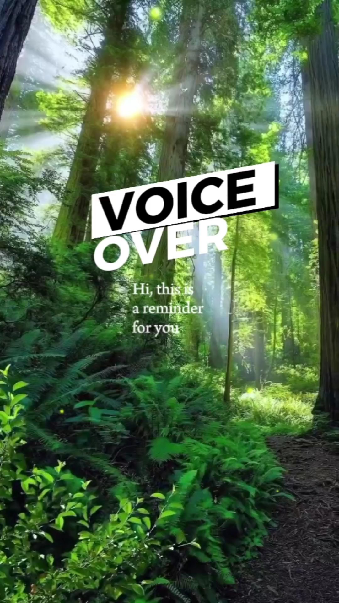 Voice Over