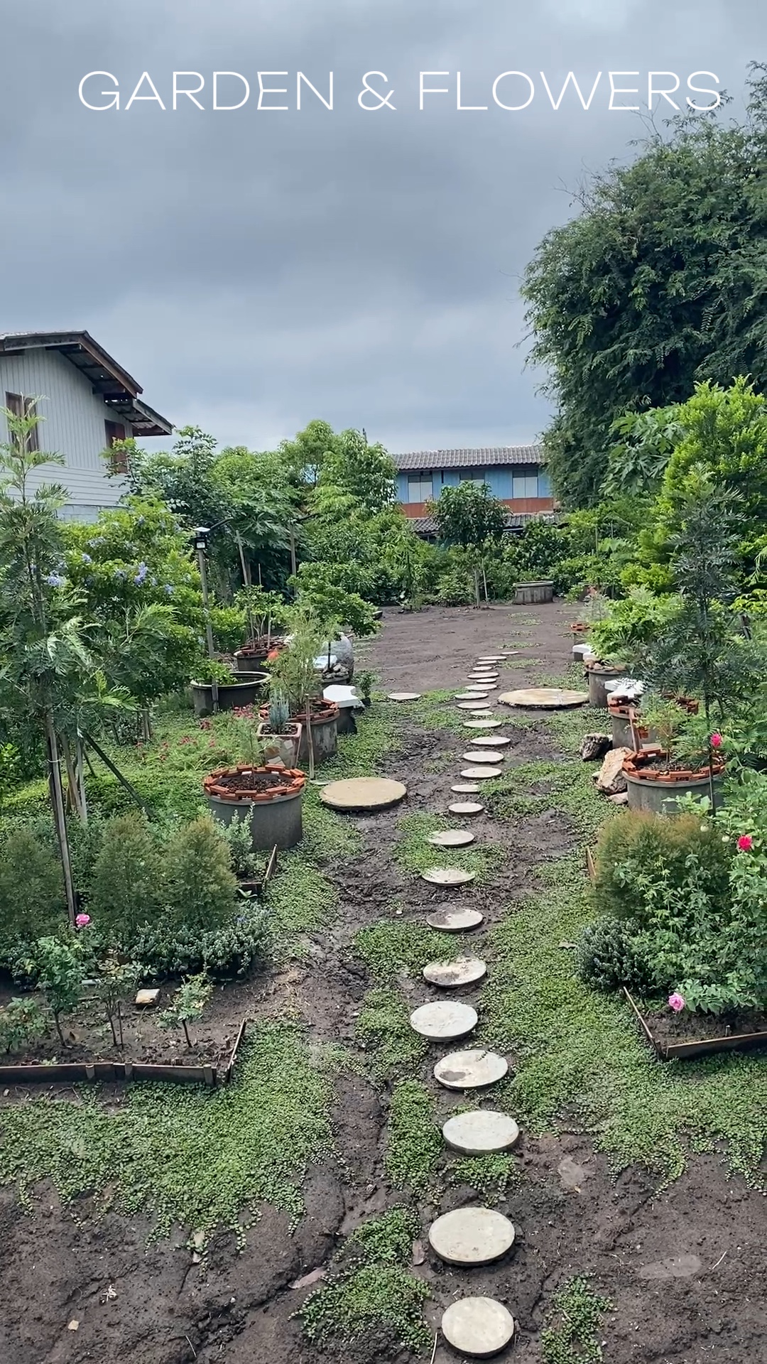 GARDEN & FLOWERS 🏡🌼🌿
