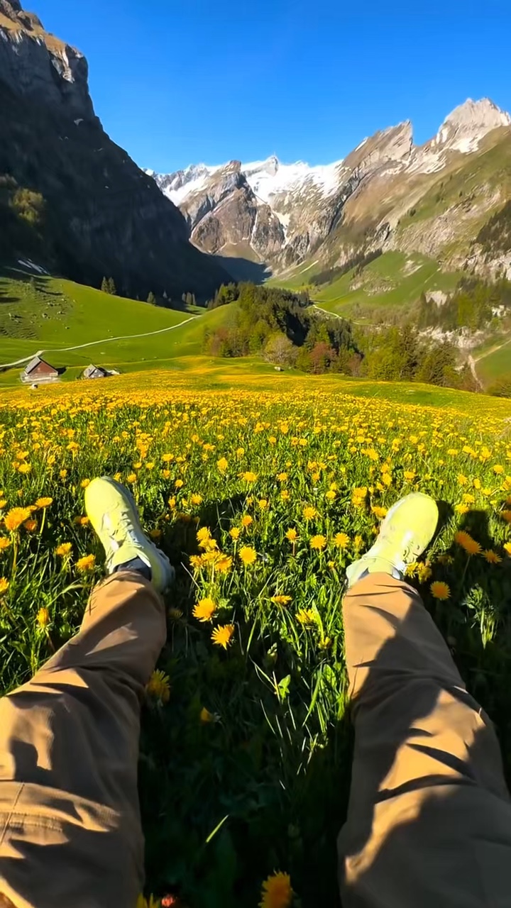 nature vibes