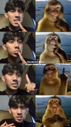 Monkey Pose Trend