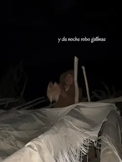 Robo gallinas 