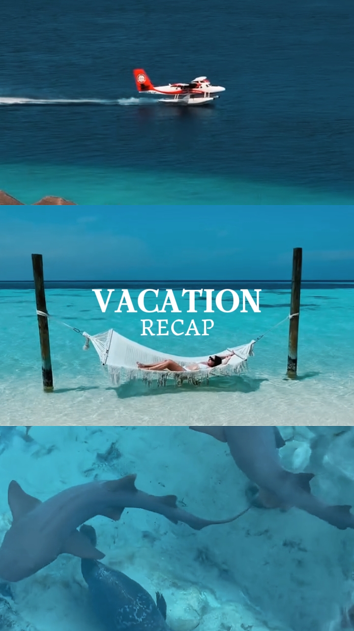 Vacation recap 