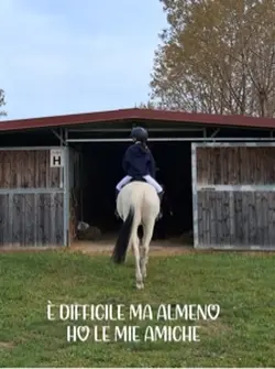 PASSERÀ❤️🔥💝