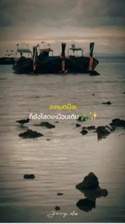 จะหมดปีแล้วน่ะ 🥹 | โสด