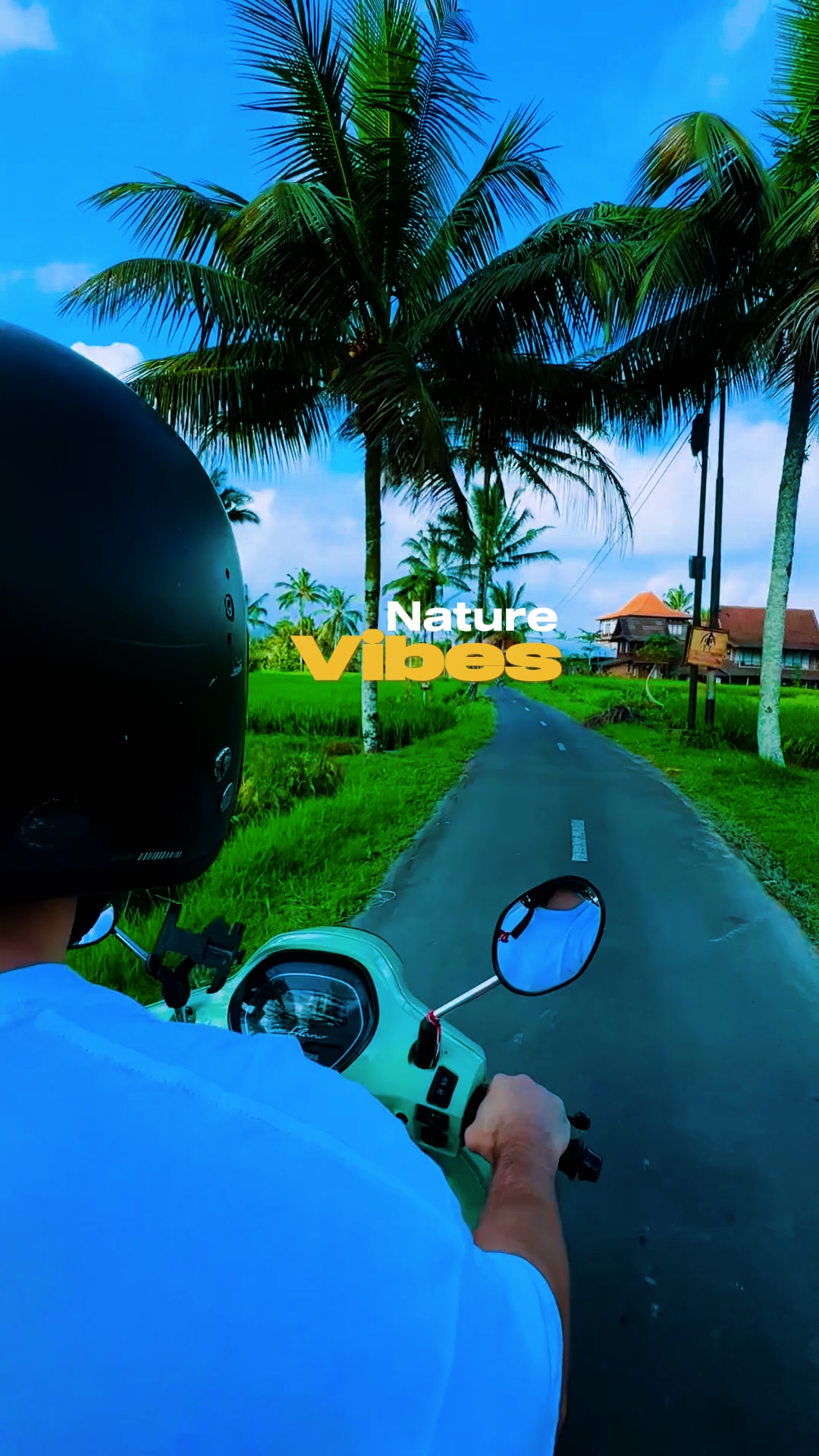 NATURE VIBES