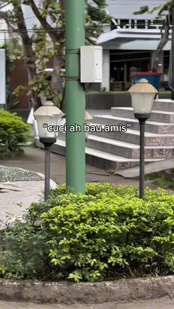 teks bisa di ganti