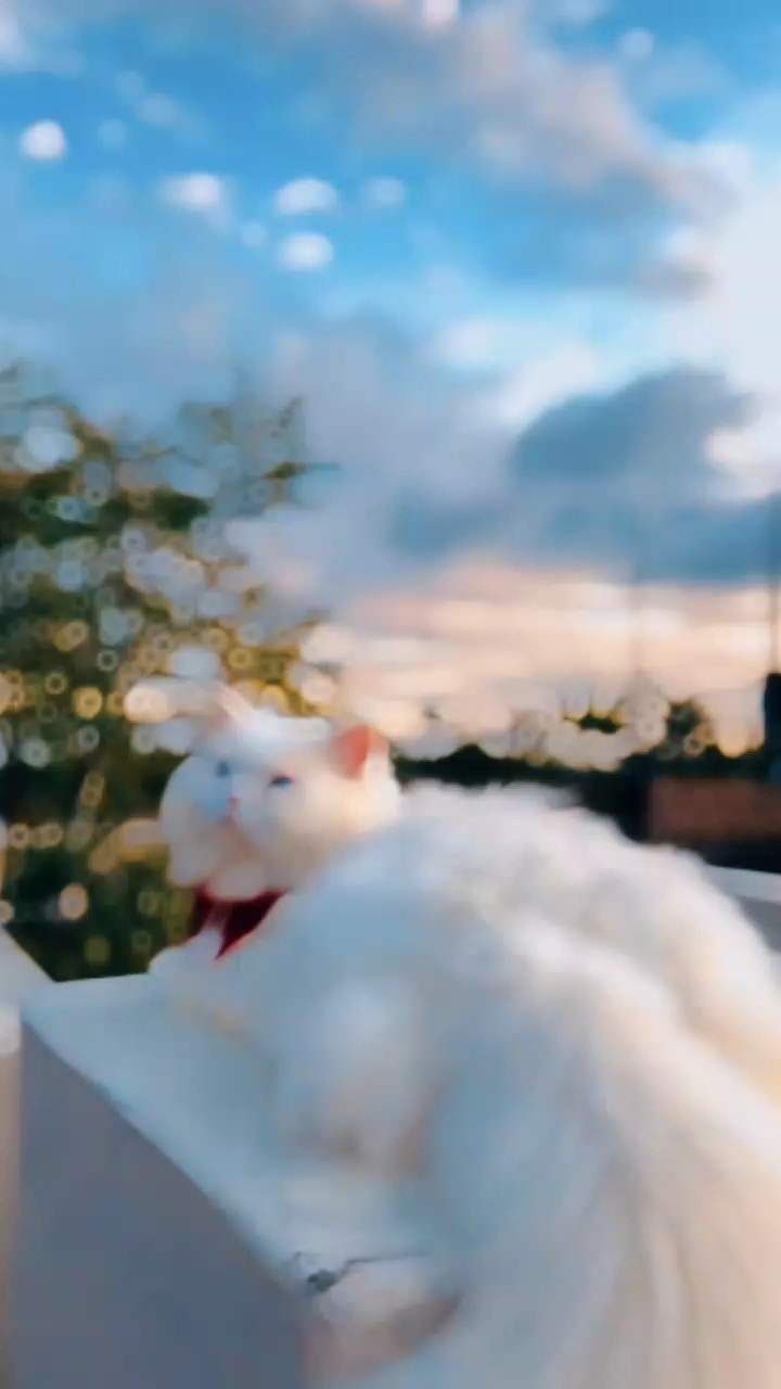slowmo slowmotion 