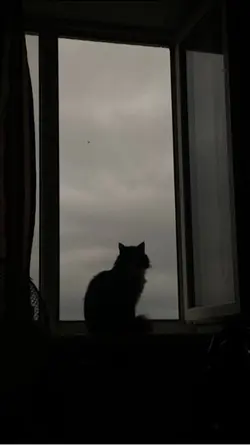 😴