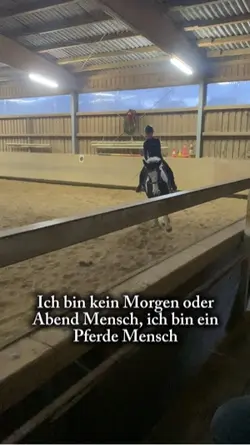 Pferde Mensch