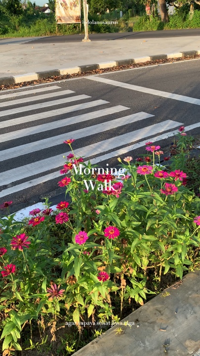 jalan pagi 8 video