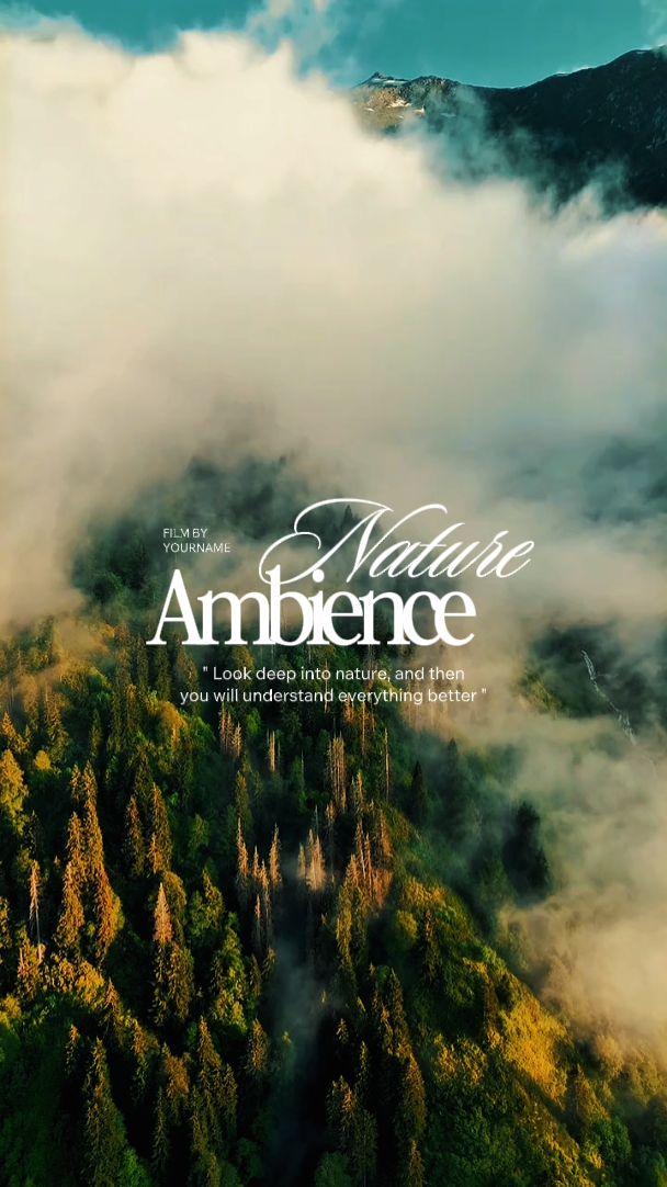 nature ambience